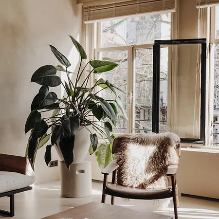 Stunning And Cozy 880x Amsterdam
